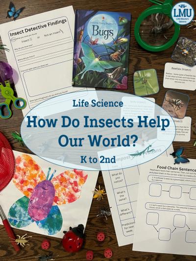 K to 2nd Grade Homeschool Unit on How Insects Help Our World