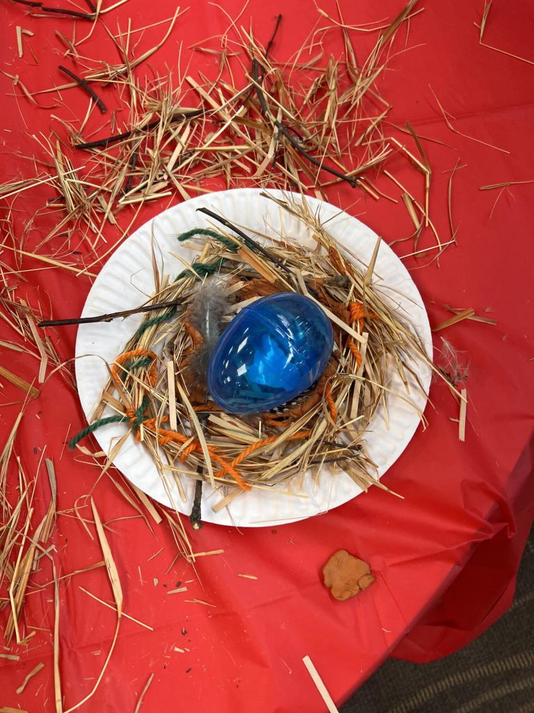 Nest Builders: A Virtual STEM Class on Birds’ Nests - Little Monsters ...