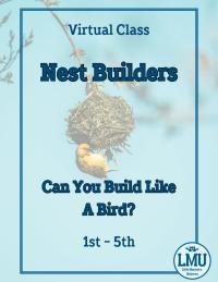 Nest Builders: A Virtual STEM Class on Birds’ Nests